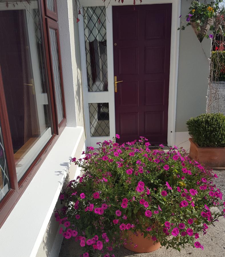 Ely House B&B Shannonbridge エクステリア 写真